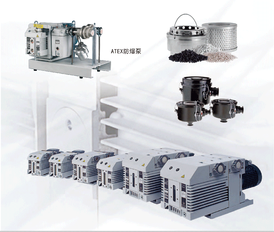 莱宝真空泵D-B系列